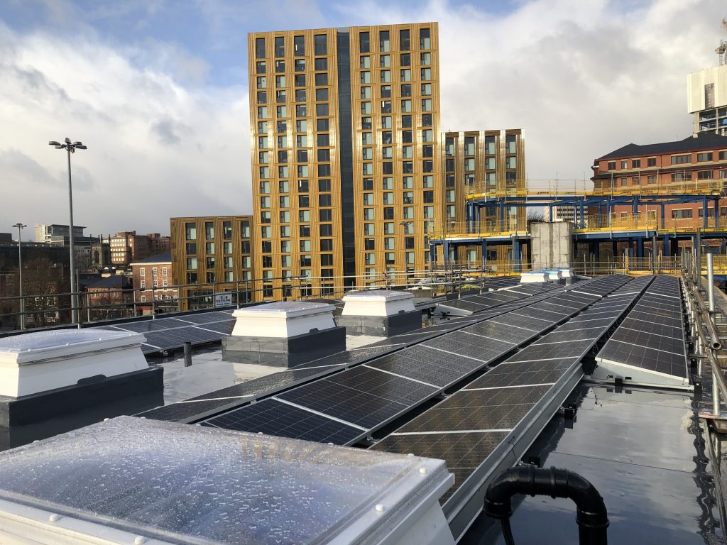 photo 10 02 2020 09 18 12 1024x768